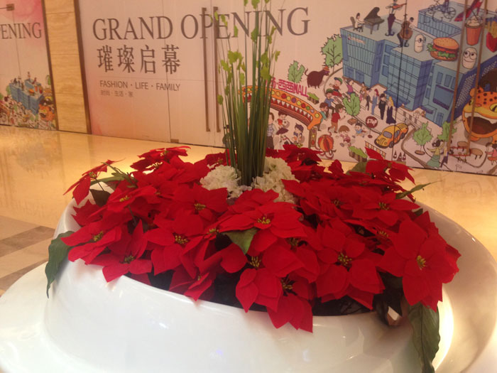 重(zhong)慶力(li)揚西西商(shang)場(chang)植物(wù)租擺