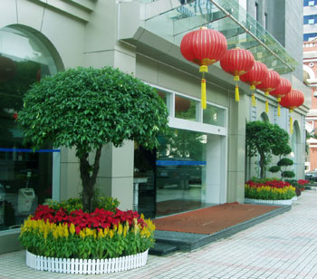 大(da)們(men)裝(zhuang)飾植物(wù)租賃